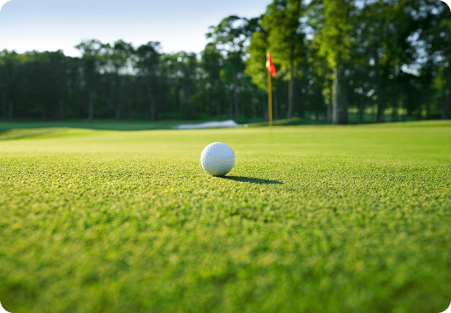 RF hardware and connectivity